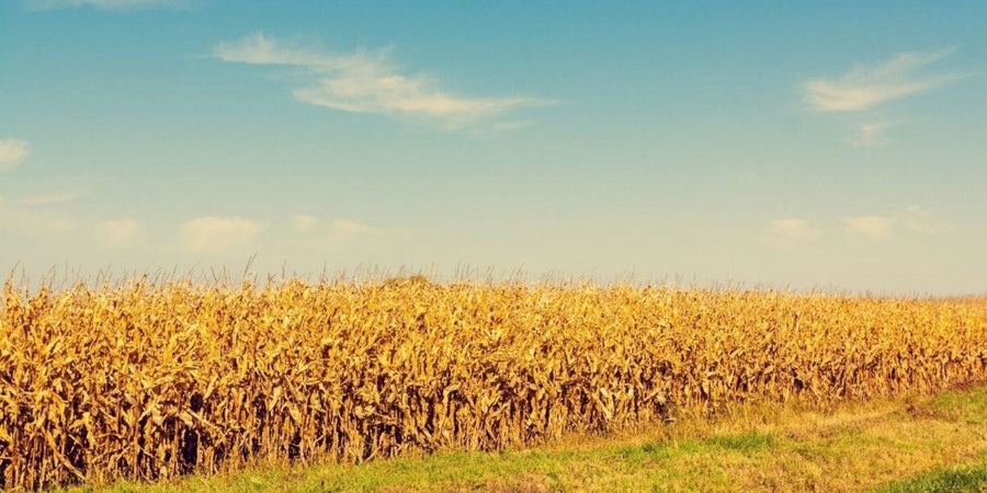 Agriculture