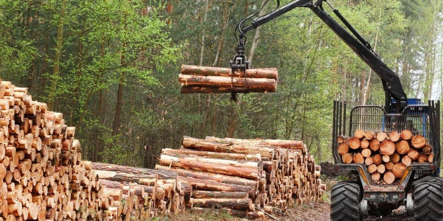 Forestry